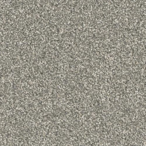 Microban® Polyester - Five Star by Phenix Carpet - Well Made