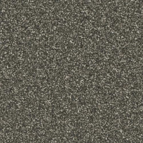 Microban® Polyester - Five Star by Phenix Carpet - Worthy