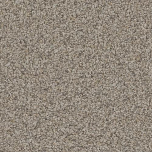 Floorever™ Petplus - Hydra by Phenix Carpet