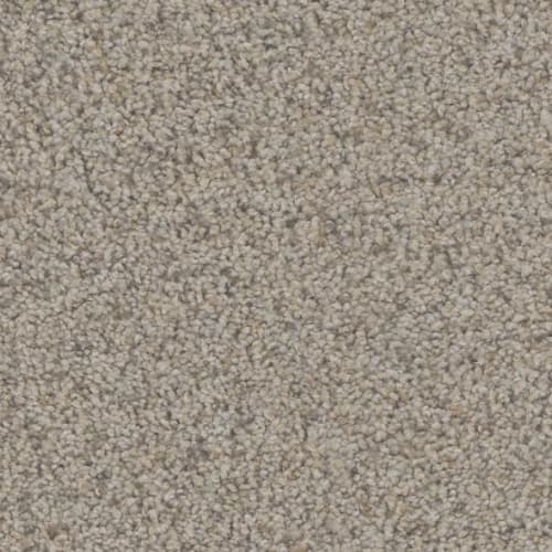 Floorever™ Petplus - Hydra by Phenix Carpet