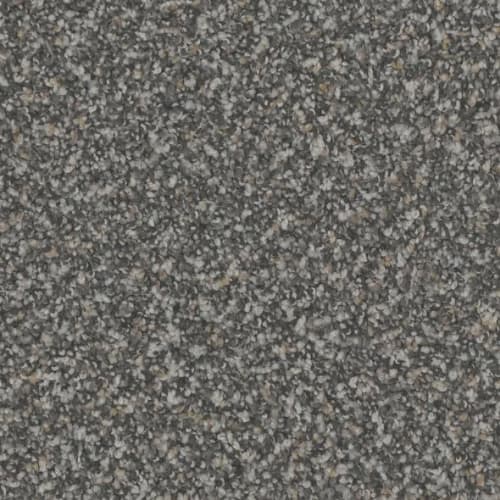 Floorever™ Petplus - Hydra by Phenix Carpet - Harbor