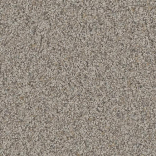 Floorever™ Petplus - Hydra by Phenix Carpet - Hilltop