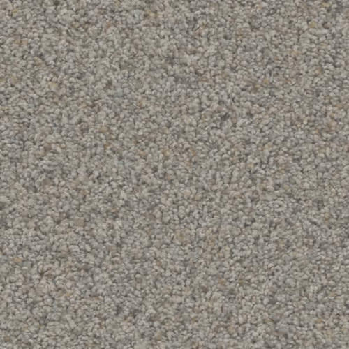 Floorever™ Petplus - Hydra by Phenix Carpet - Landscape