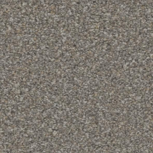 Floorever™ Petplus - Hydra by Phenix Carpet - Rustic