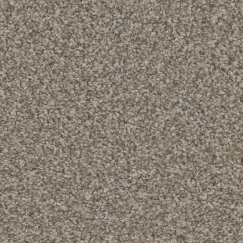 Floorever™ Petplus - Hydra by Phenix Carpet - Secluded Beach