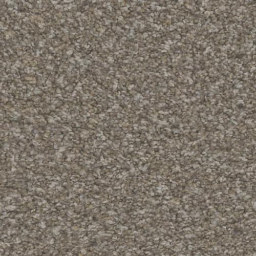 Floorever™ Petplus - Hydra by Phenix Carpet