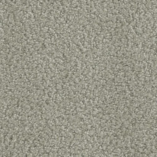 Floorever™ Petplus - In The Details by Phenix Carpet - Concrete