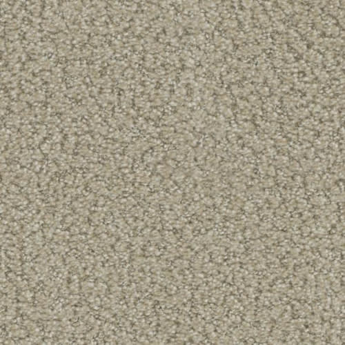 Floorever™ Petplus - In The Details by Phenix Carpet - Intricate