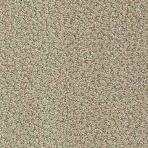 Floorever™ Petplus - In The Details by Phenix Carpet - Precise