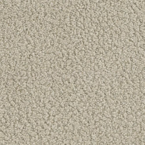 Floorever™ Petplus - In The Details by Phenix Carpet - Specific