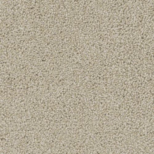 Floorever™ Petplus - Lido by Phenix Carpet