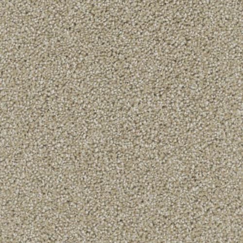 Floorever™ Petplus - Lido by Phenix Carpet