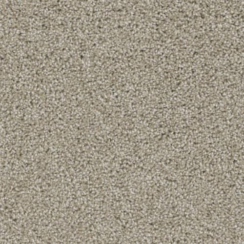 Floorever™ Petplus - Lido by Phenix Carpet