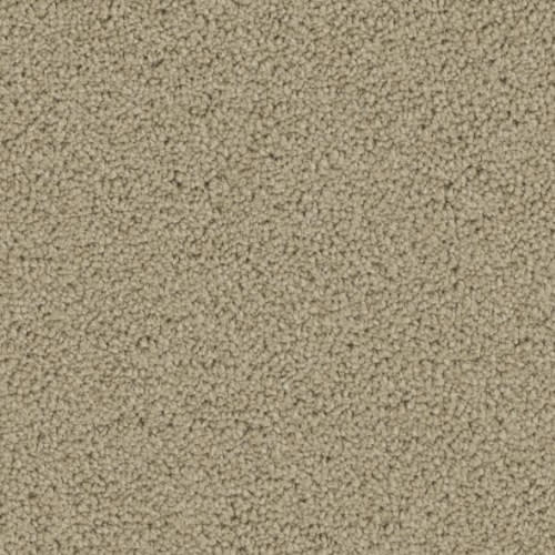 Floorever™ Petplus - Lido by Phenix Carpet - Tropic Tan