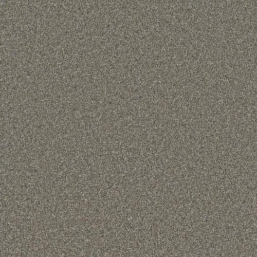 Floorever™ Petplus - Luna by Phenix Carpet - Landmark