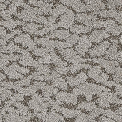 Floorever™ Petplus - Maxwell by Phenix Carpet - Peninsula