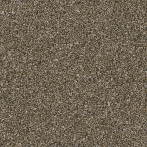 Floorever™ Petplus - Catania by Phenix Carpet - Society