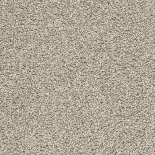 Floorever™ Petplus - Paxton by Phenix Carpet