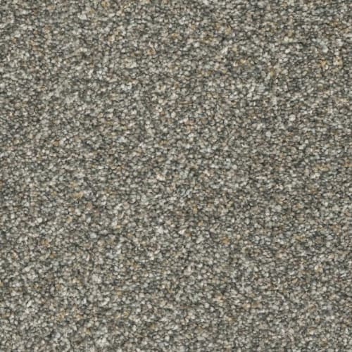 Floorever™ Petplus - Paxton by Phenix Carpet - Elegant