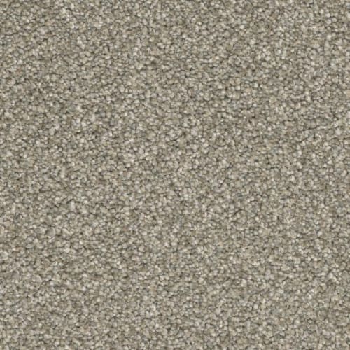 Floorever™ Petplus - Paxton by Phenix Carpet - Exclusive