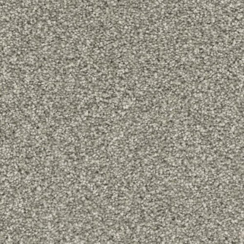 Floorever™ Petplus - Paxton by Phenix Carpet - Lavish