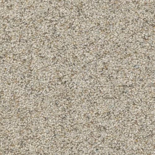 Floorever™ Petplus - Paxton by Phenix Carpet - Opulent