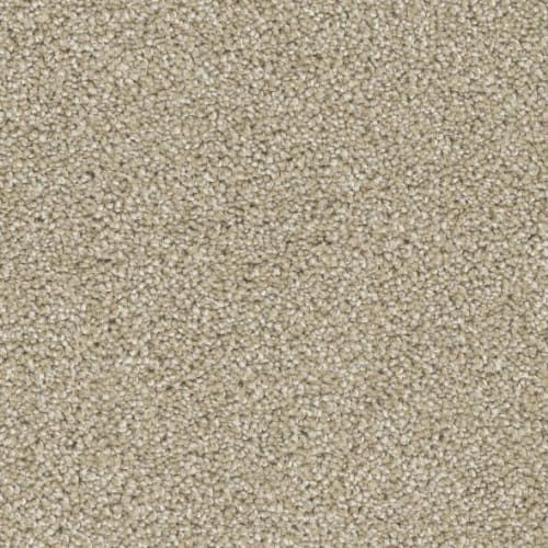 Floorever™ Petplus - Paxton by Phenix Carpet - Refined