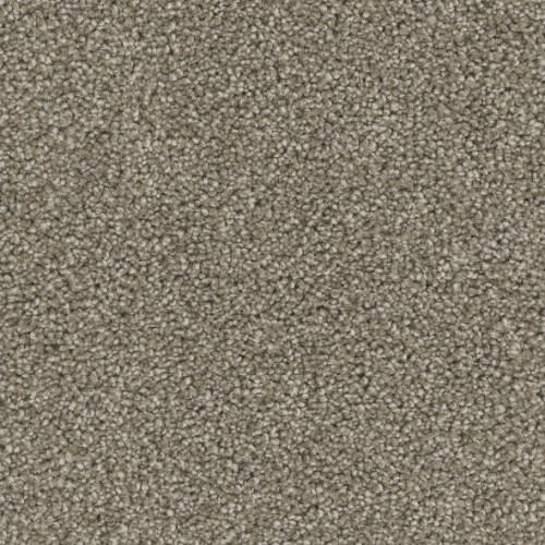 Floorever™ Petplus - Paxton by Phenix Carpet - Upscale