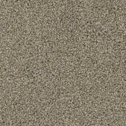 Floorever™ Petplus - Seaview by Phenix - Weathered Pier