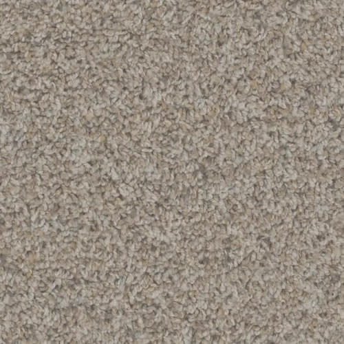 Floorever™ Petplus - Sparta by Phenix Carpet - Castle