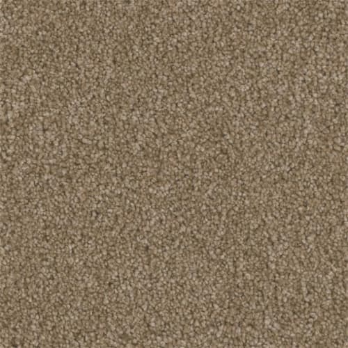 Microban® Polyester - Tonal Serenity by Phenix Carpet - Comfort