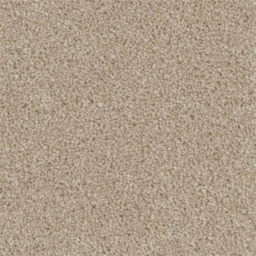 Microban® Polyester - Tonal Serenity by Phenix Carpet - Daydream