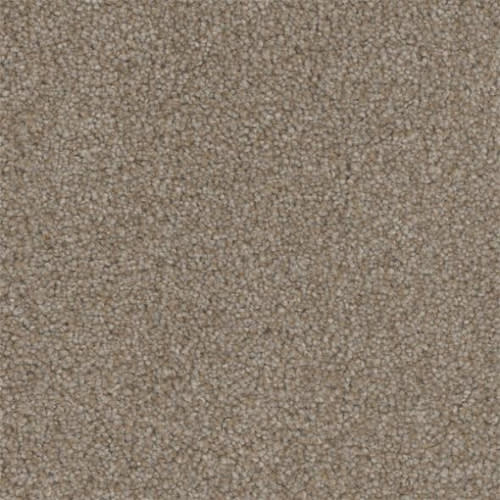 Microban® Polyester - Tonal Serenity by Phenix Carpet - Harmony