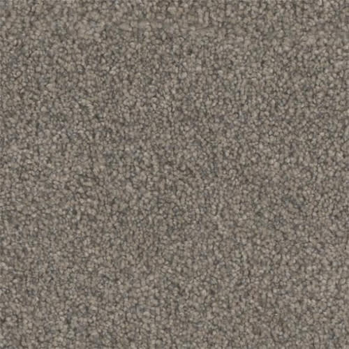 Microban® Polyester - Tonal Serenity by Phenix Carpet