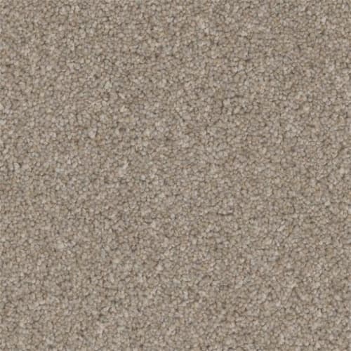 Microban® Polyester - Tweed by Phenix Carpet