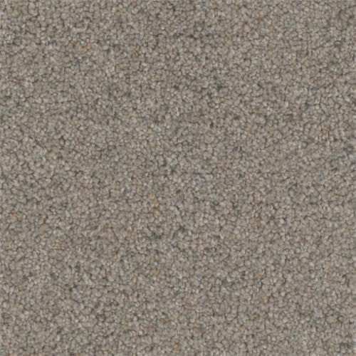 Microban® Polyester - Tweed by Phenix Carpet - Fleece