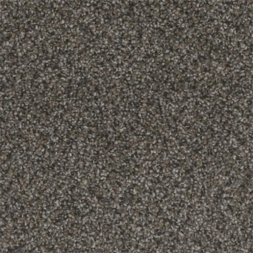 Microban® Polyester - Tweed by Phenix Carpet