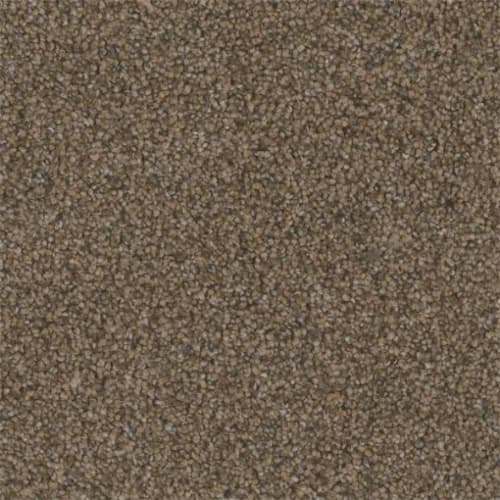 Microban® Polyester - Tweed by Phenix Carpet