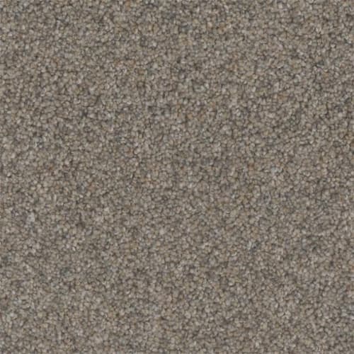 Microban® Polyester - Tweed by Phenix Carpet