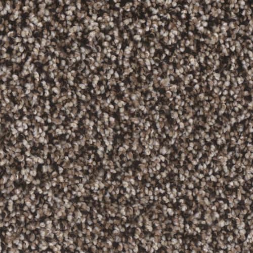 Floorever™ - Visionary by Phenix Carpet - Capricious