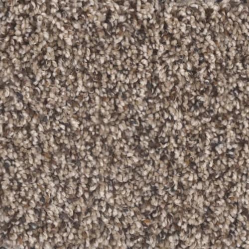 Floorever™ - Visionary by Phenix Carpet - Fanciful