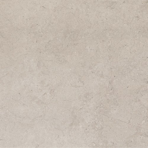 Gallery by Virginia Tile - Light Gray 24"X24" Matte