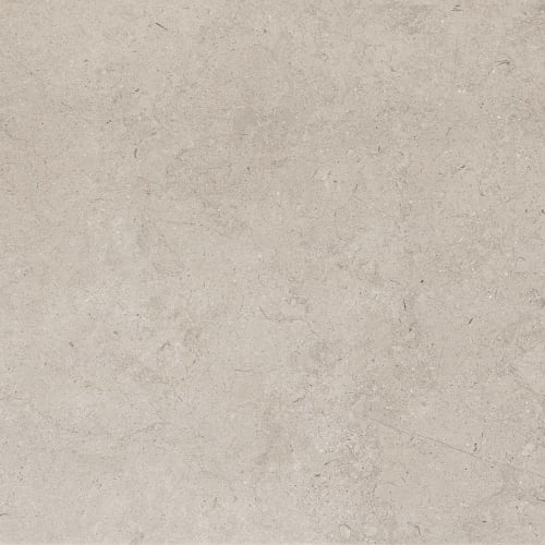 Gallery by Virginia Tile - Light Gray 24"X48" Satin