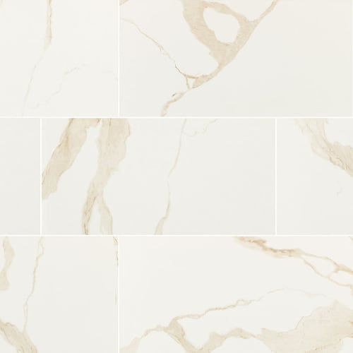 Calacatta - 12X24 Polished