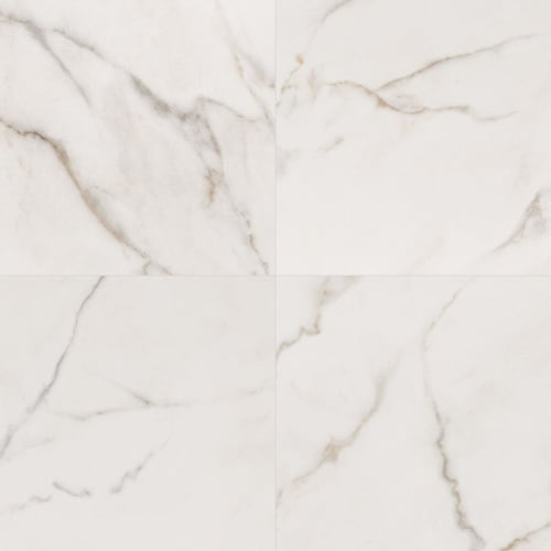 Calacatta Lucca - 24X24 Polished