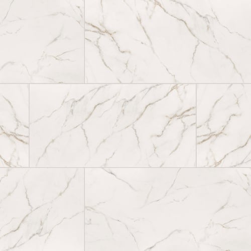 Calacatta Lucca - 24X48 Matte