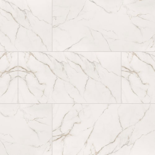 Calacatta Lucca - 24X48 Polished