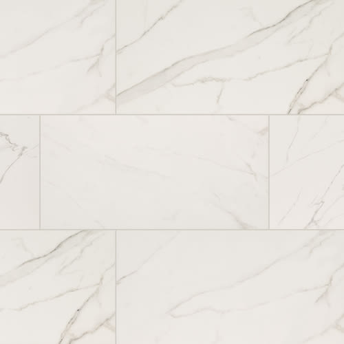 Calacatta Venato - 12X24 Matte
