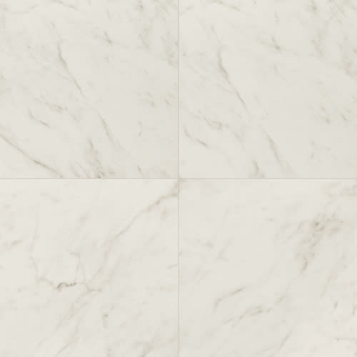 Carrara Bianco - 24X24 Matte