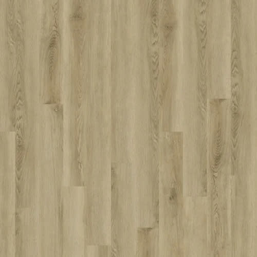 4 Series - Century by Stanton - Dwf - Summer Oak